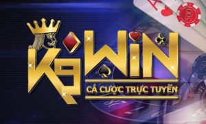 Giới thiệu về k9win 