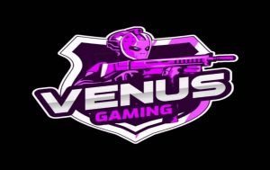 Venus Gaming và chiêu thức phân phối rất đỗi độc đáo